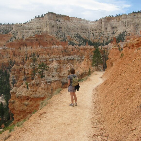 Meet The Posher - Picture 1 of 1